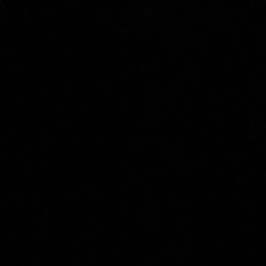 Meet your Posher, Tamia